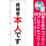 選挙のぼり旗 候補者本人です (GNB-1920) [プレゼント付]