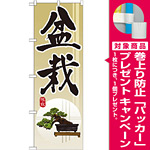 のぼり旗 盆栽 (GNB-1012) [プレゼント付]