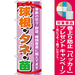 のぼり旗 表示:球根・タネ・苗 (GNB-1076) [プレゼント付]