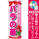 のぼり旗 表示:バラの苗 (GNB-1078) [プレゼント付]
