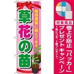 のぼり旗 表示:草花の苗 (GNB-1079) [プレゼント付]