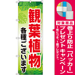 のぼり旗 観葉植物各種ございます (GNB-2531) [プレゼント付]