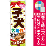 のぼり旗 子犬 (GNB-553) [プレゼント付]