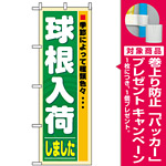 のぼり旗 (3251) 球根入荷 [プレゼント付]