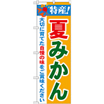 のぼり旗 特産!夏みかん (21479)