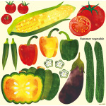 Summer Vegetable 看板・ボード用イラストシール (W285×H285mm) 