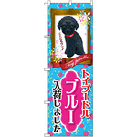 のぼり旗 トイプードル ブルー 入荷 (GNB-2463)