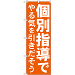 のぼり旗 個別指導でやる気を引きだそう (GNB-60)