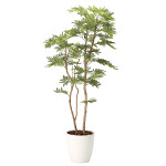 光触媒 人工観葉植物 造花 ねむの木1.8(ポリ製) (高さ180cm)