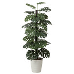光触媒 人工観葉植物 造花 モンステラ  1.8 (高さ180cm)