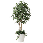 光触媒 人工観葉植物 造花 パキラ1.8 植栽付 (高さ180cm)