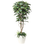 光触媒 人工観葉植物 造花 フィカスベンジャミン1.8植栽付  (高さ180cm)