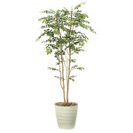 光触媒 人工観葉植物 造花 マウンテンアッシュ1.8 (高さ180cm)