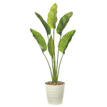 【送料無料】オーガスタL1.8(ポリ製) (屋外用人工観葉植物) 高さ180cm ※光触媒ではありません (902A360)