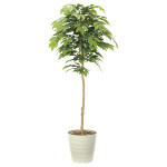 光触媒 人工観葉植物 ケヤキ1.6 (高さ160cm)