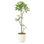 光触媒 人工観葉植物 造花 フレッシュパキラ1.3 (高さ130cm)