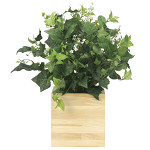 【送料無料】ウッドボックスK (人工観葉植物) 高さ50cm 光触媒機能付 (937A150)