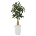 光触媒 人工観葉植物 アーバンパキラ1.8 (高さ180cm)