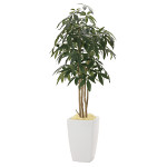 光触媒 人工観葉植物 造花 アーバンパキラ1.8 (高さ180cm)