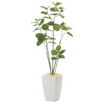 光触媒 人工観葉植物 造花 アーバンブランチウンベラータ1.8 (高さ180cm)