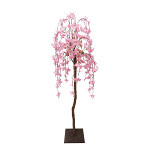 【2025年春商品】シダレ桜立木 (No177-11_06)