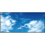【2024年秋商品】ディスプレイシート空(No175-0910)