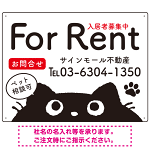 猫がひょっこり顔を出すユーモア溢れる入居者募集中デザイン 不動産向けプレート看板 W600×H450 マグネットシート(SP-SMD739-60x45M)