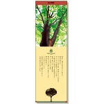 シールギャラリー 樹の博物館 けやき (916-52)