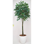 光触媒 人工観葉植物 造花 パキラ 1.6 (高さ160cm)