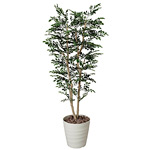 光触媒 人工観葉植物 造花 トネリコ 1.8 (高さ180cm)