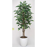 光触媒 人工観葉植物 造花 ロイヤルベンジャミン 1.8 (高さ180cm)