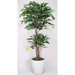 光触媒 人工観葉植物 造花 トロピカルベンジャミン 1.6 (高さ160cm)