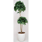 光触媒 人工観葉植物 造花 ベンジャミンダブル 1.8 (高さ180cm)