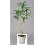 光触媒 人工観葉植物 ユッカ 1.6 (高さ160cm)
