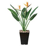 【送料無料】ストレチアS花付 1.0 (人工観葉植物) 高さ100cm 光触媒機能付 (195G300)