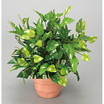 光触媒 人工観葉植物 造花 ポトスS (高さ27cm)