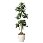 【送料無料】ドラセナコンパクタ1.6(ポリ製) (屋外用人工観葉植物) 高さ160cm ※光触媒ではありません (283A300)