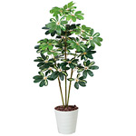 光触媒 人工観葉植物 造花 カポック斑入り1.2 (高さ120cm)