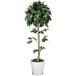 光触媒 人工観葉植物 造花 ベンジャミントピアリー 1.5 (高さ150cm)