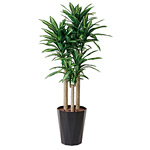 光触媒 人工観葉植物 造花 幸福の木 1.8 (高さ180cm)