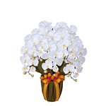 光触媒 人工観葉植物 造花 エレガント胡蝶蘭5本立W (高さ64cm)