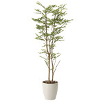 光触媒 人工観葉植物 造花 ゴールデンリーフ 1.6 (高さ160cm)