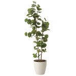 光触媒 人工観葉植物 造花 シーグレープ1.6 (高さ160cm)