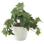 光触媒 人工観葉植物 造花 フレッシュアイビーS (高さ25cm)