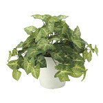 光触媒 人工観葉植物 造花 フレッシュカラージューム (高さ30cm)