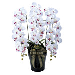光触媒 人工観葉植物 造花 プレミアム胡蝶蘭5本立W/AB (高さ75cm)