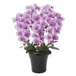 光触媒 人工観葉植物 造花 クイーン胡蝶蘭5本立L (高さ74cm)