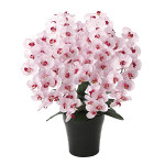 光触媒 人工観葉植物 造花 プレミアム胡蝶蘭7本立P (高さ75cm)