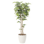 光触媒 人工観葉植物 造花 ケヤキ1.8 (高さ180cm)