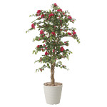 光触媒 人工観葉植物 ブーゲンビリア1.5 (高さ150cm)